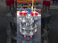 joint de démontage à double bride en acier inoxydable