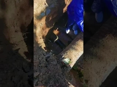 Type de connecteur de tuyau d'eau double carte de réparation de tuyau d'extension de pince en acier inoxydable TUV